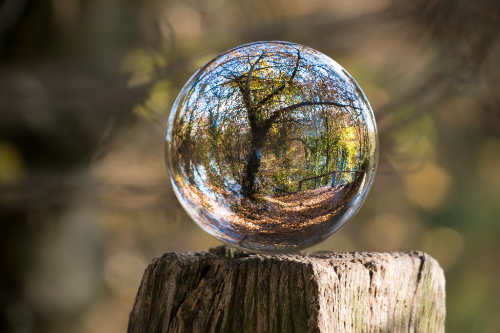 Ley Europea del Clima: el Consejo y el Parlamento alcanzan un acuerdo provisional